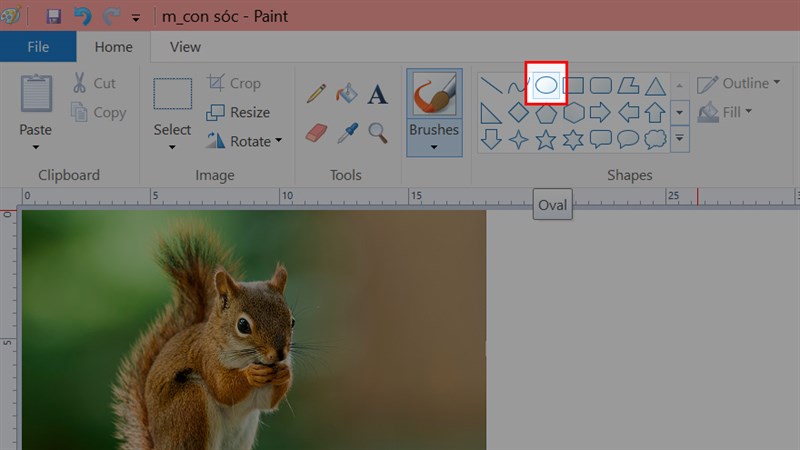 Tại mục Shapes > Chọn biểu tượng hình Oval