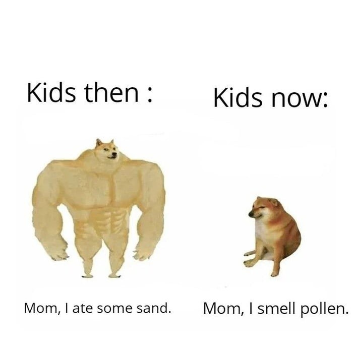 meme cheems la gi anh 5
