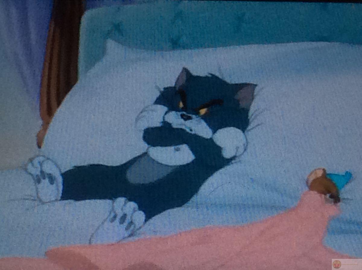 Dáng này không mệt, chỉ hơi… quyền lực thôi