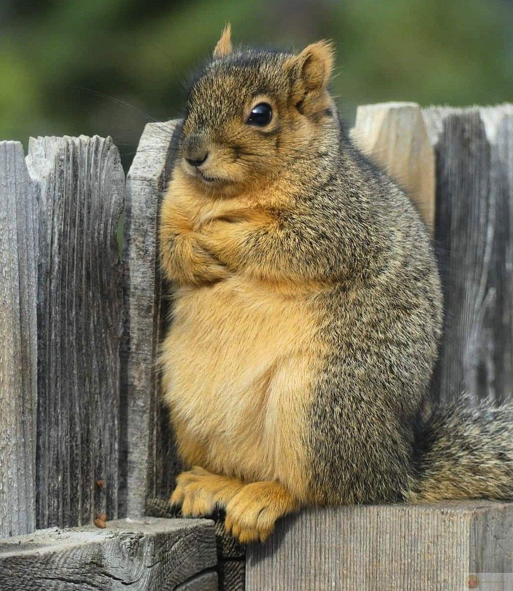 Chống nạnh không phải vì tức mà vì quá hiểu