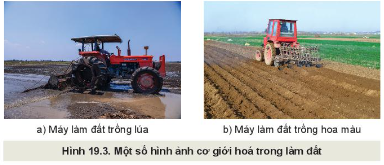 Lý thuyết quy trình trồng trọt và cơ giới hoá trong trồng trọt - Công nghệ 10</>