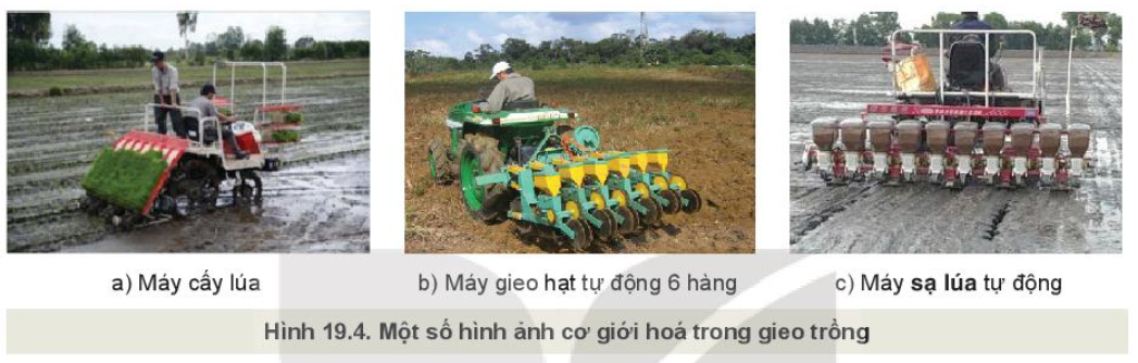 Lý thuyết quy trình trồng trọt và cơ giới hoá trong trồng trọt - Công nghệ 10</>