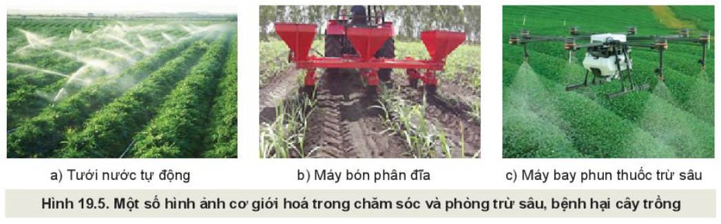 Lý thuyết quy trình trồng trọt và cơ giới hoá trong trồng trọt - Công nghệ 10</>