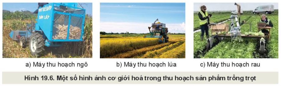 Lý thuyết quy trình trồng trọt và cơ giới hoá trong trồng trọt - Công nghệ 10</>