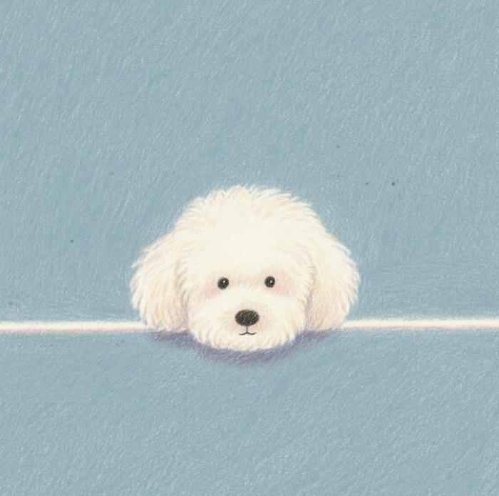 Chó chibi lộ mặt màu trắng cực yêu