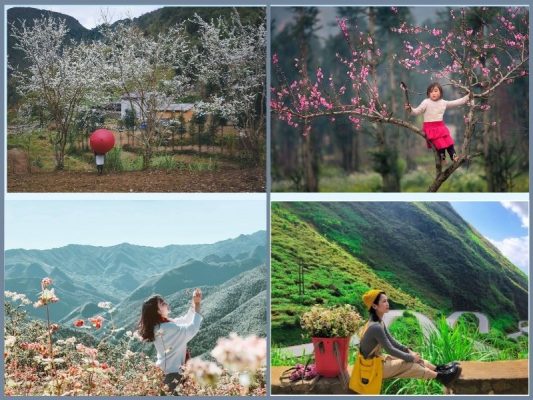 Đi Hà Giang mặc gì chụp ảnh đẹp? 10+ trang phục cực xinh 