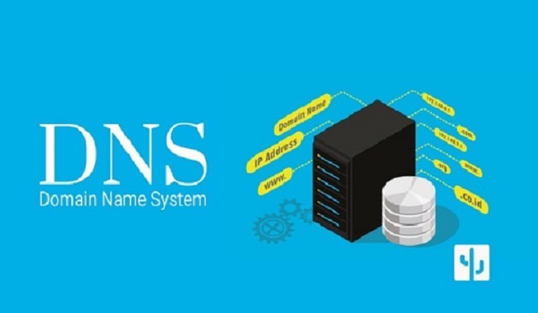 DNS có bao nhiêu loại?