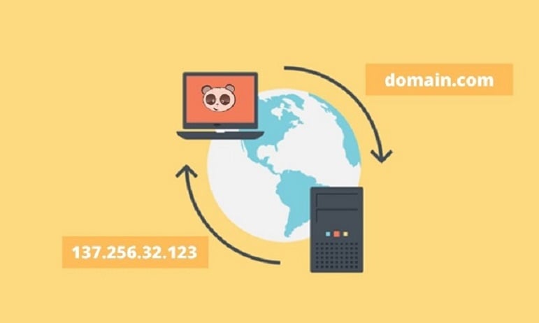 Hướng dẫn sử dụng DNS