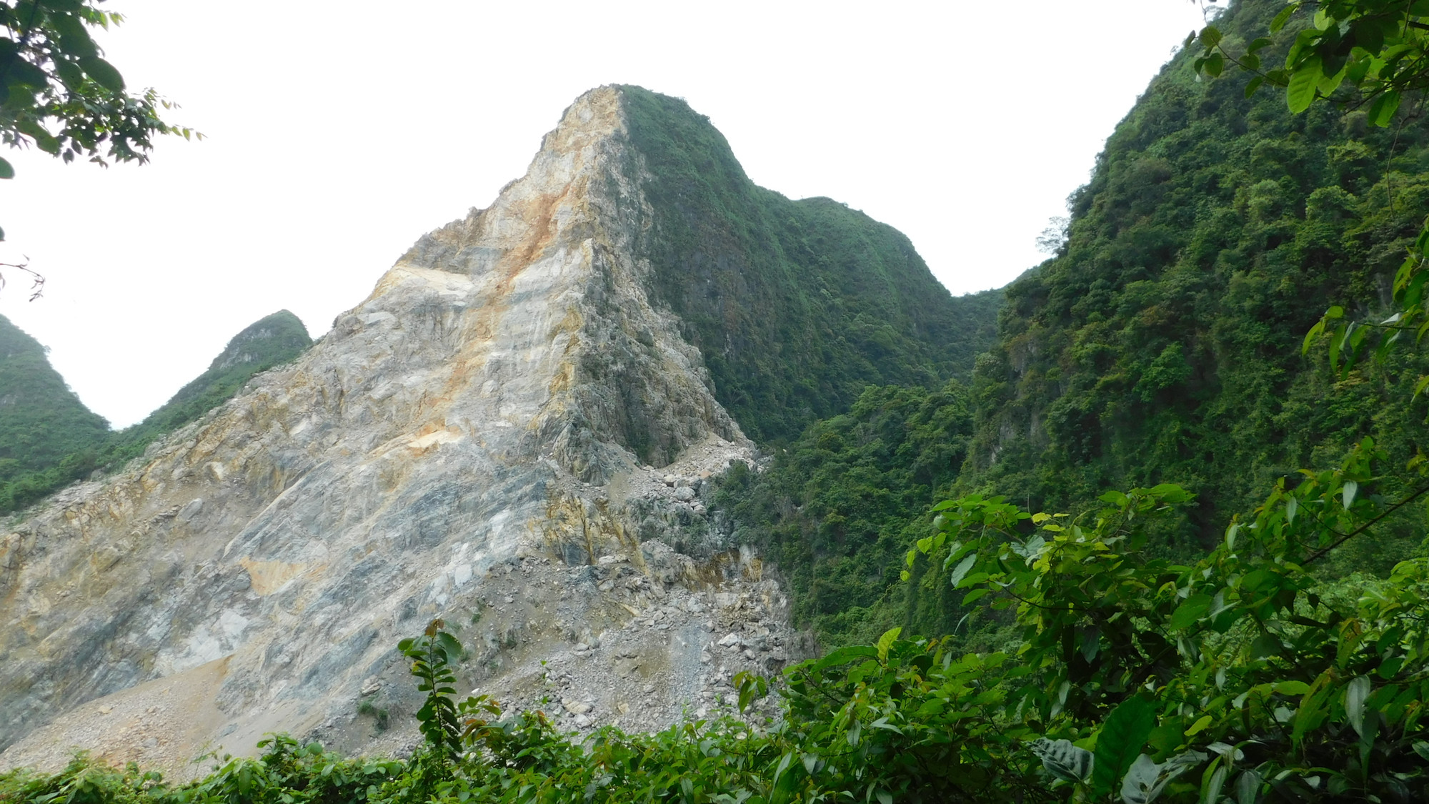 Mắc màn cho bể nước - cách làm chỉ những cán bộ thực địa theo chân loài động vật linh trưởng quý mới nghĩ ra. (Ảnh: Trung tâm Bảo tồn Thiên nhiên và Phát triển)