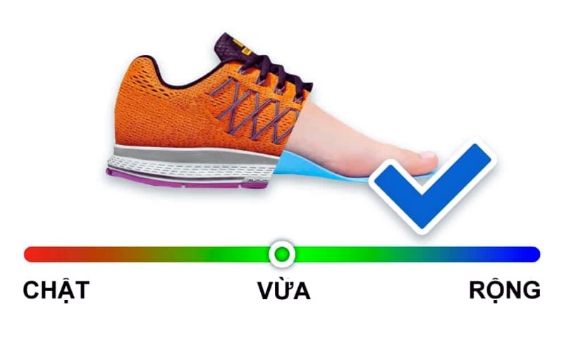 Bảng size giày Nike đầy đủ, chi tiết nhất cho cả nam và nữ