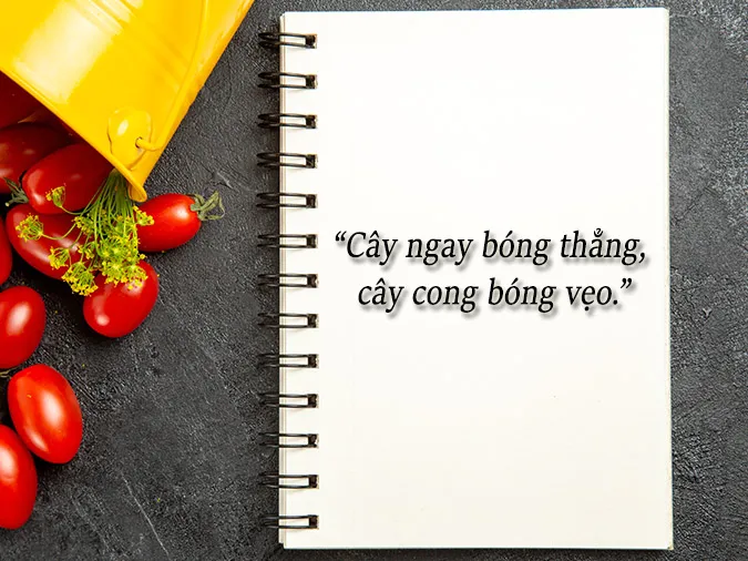 giay-rach-phai-giu-lay-le-voh-2