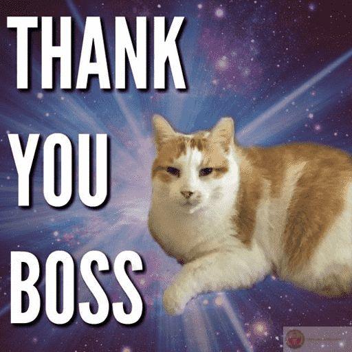 Không rõ lý do, nhưng lòng biết ơn dâng trào