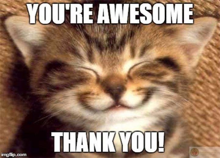 Cảm ơn vì tôi đang nói chuyện mà chưa bị bỏ qua