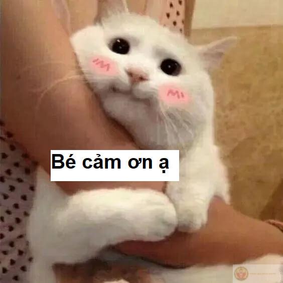 Một lời cảm ơn, đôi khi là cả một thế giới