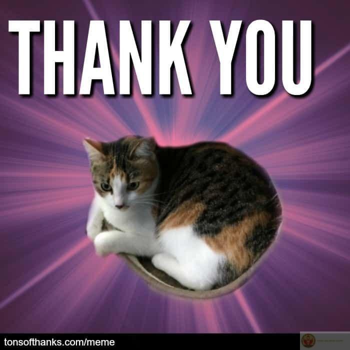 Không hiểu chuyện gì xảy ra nhưng vẫn cảm ơn