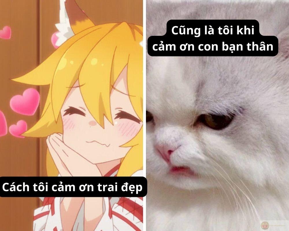 Thế giới không hoàn hảo, nhưng vẫn có cảm ơn