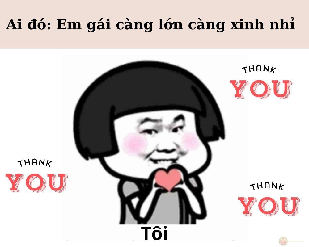 Xin cảm ơn meme
