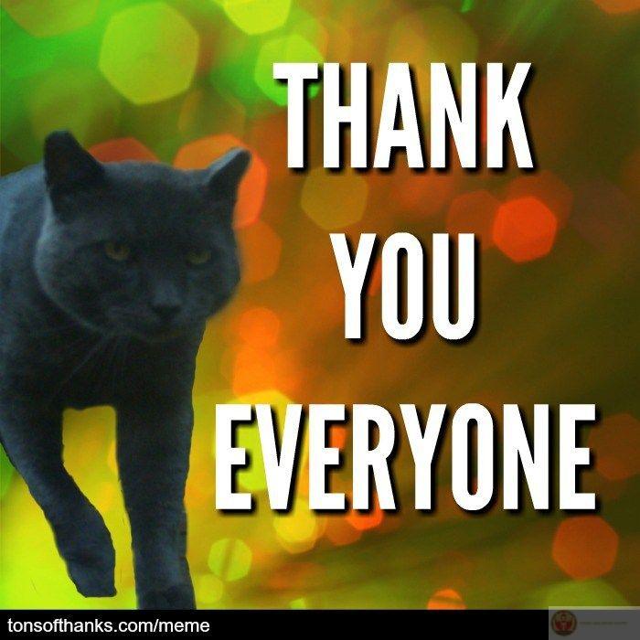 Cảm ơn một cách đầy tự phát và thiếu suy nghĩ