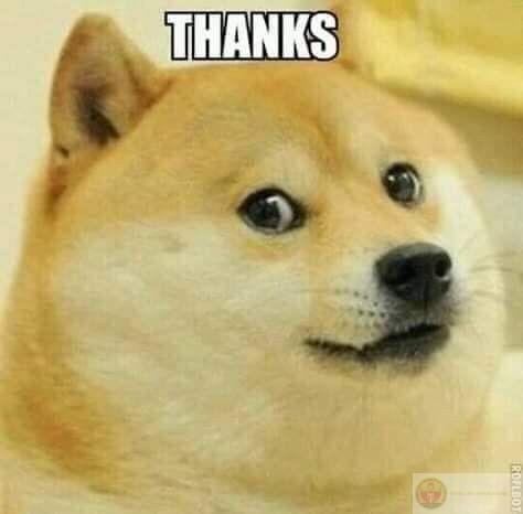 Cảm ơn những người âm thầm làm tôi thấy an toàn