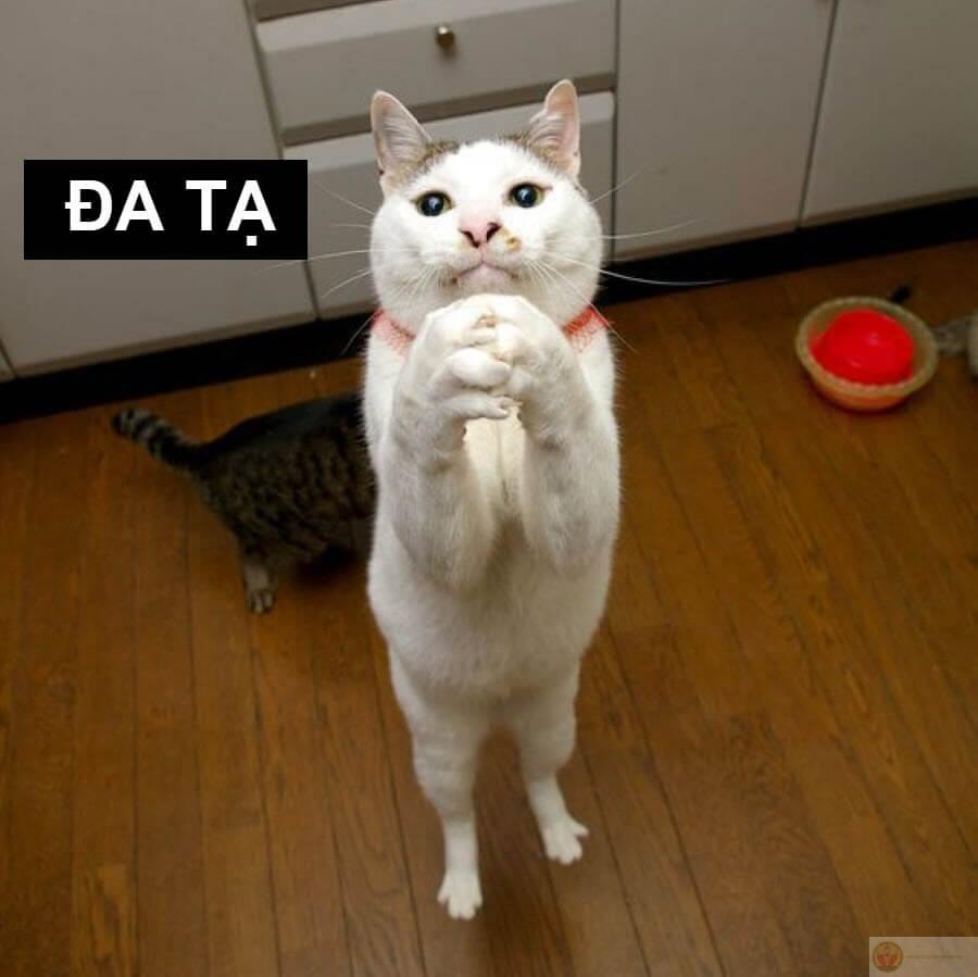 Cảm ơn vì đã để tôi thấy được chính mình