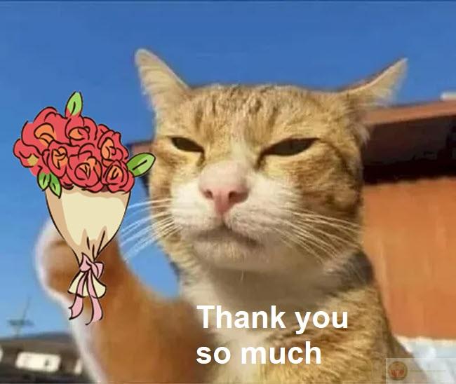 Cảm ơn vì đã không hỏi lý do tôi buồn