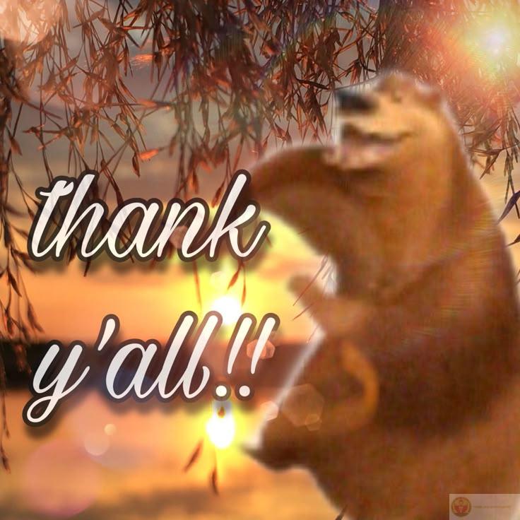 Không phải lúc nào cũng đúng, nhưng cảm ơn thì nên