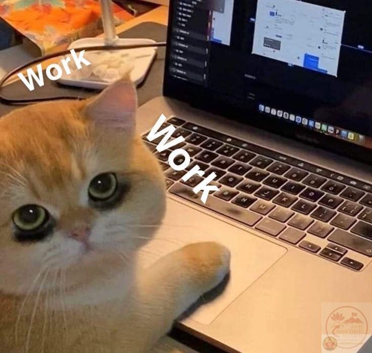 Meme chạy deadline vừa thực tế vừa hài hước nên dễ lan tỏa rộng rãi