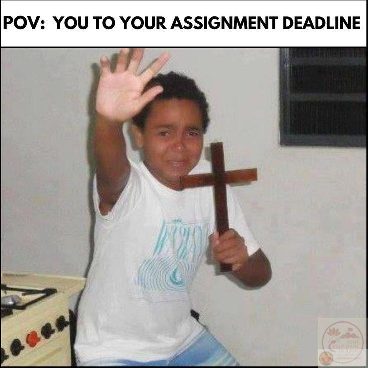 Một bức ảnh chế chạy deadline biến áp lực thành niềm vui bất ngờ