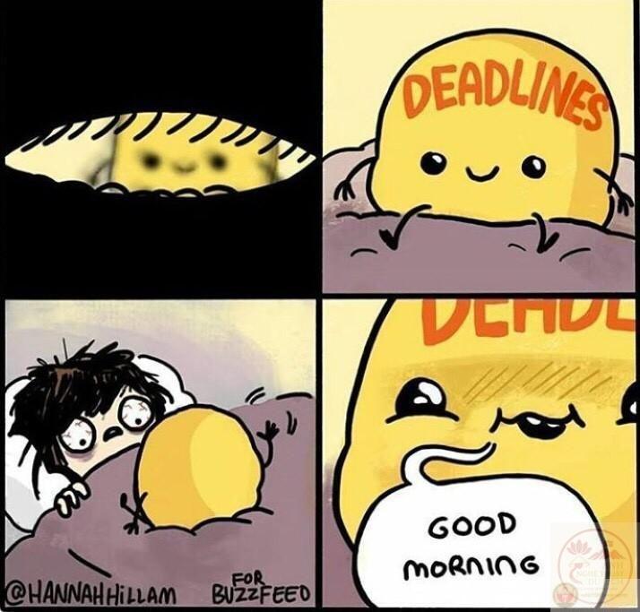 Deadline meme gợi nhớ cảnh thức đêm chạy nước rút đầy áp lực