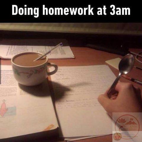 Deadline meme góp phần biến áp lực thành nội dung giải trí lan rộng