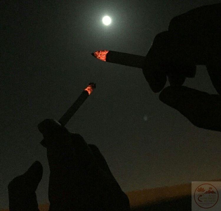 Một lần ngắm nhìn cũng đủ khiến tâm trí như được nghỉ ngơi đôi chút