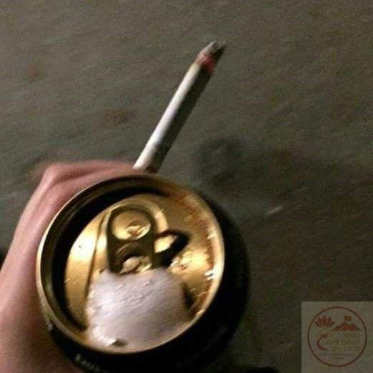 Tựa như lời nhắc nhở nhẹ nhàng, bức hình này gợi cảm giác thật yên ả