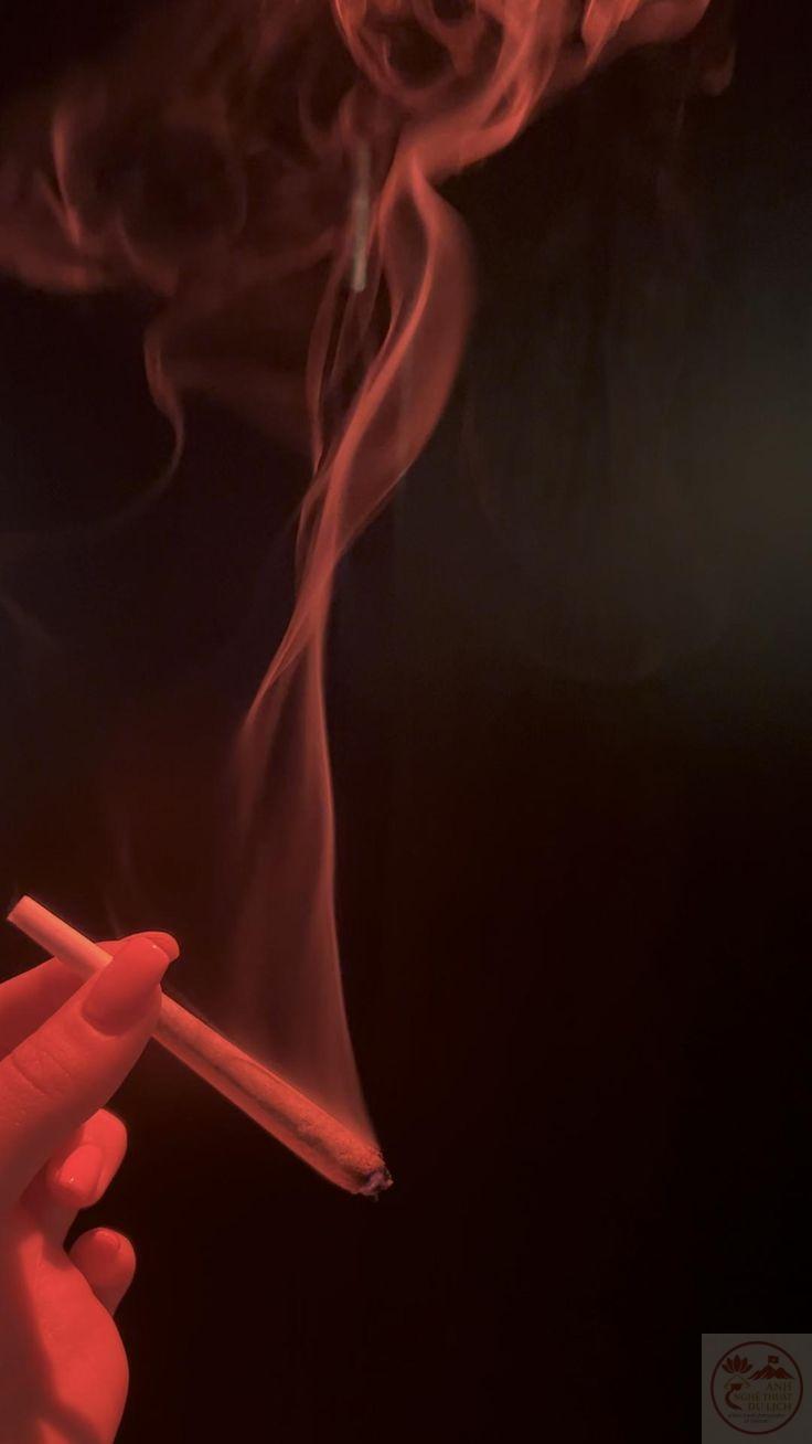 Hình ảnh như một khoảng nghỉ nhỏ giữa bao ồn ào của thế giới ngoài kia