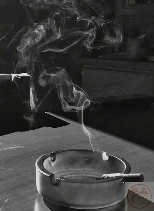 Cảm giác dễ chịu đến từ những gì giản đơn nhất mà hình ảnh mang lại