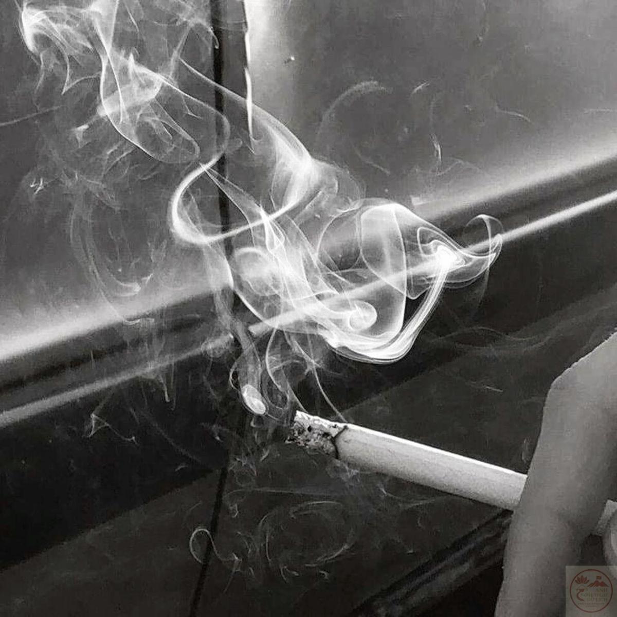 Khi ngắm nhìn, tâm trí như được gột rửa khỏi những lo toan thường nhật