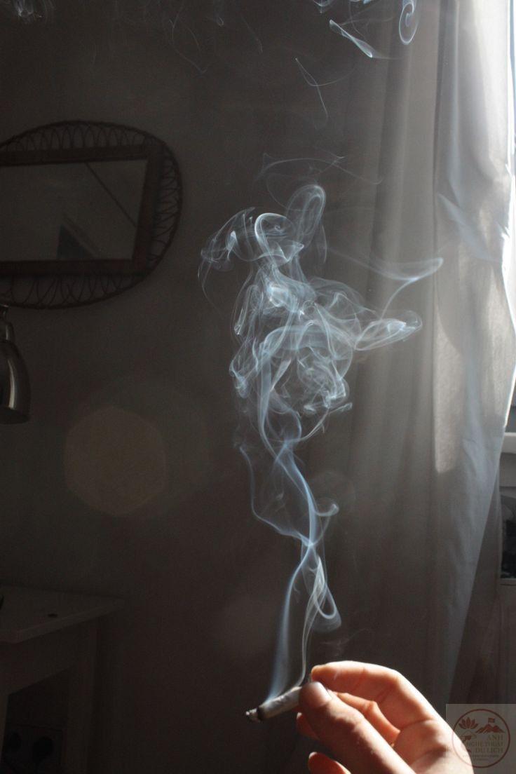 Khi ánh mắt dừng lại nơi bức ảnh, tâm trạng cũng trở nên nhẹ nhàng hơn