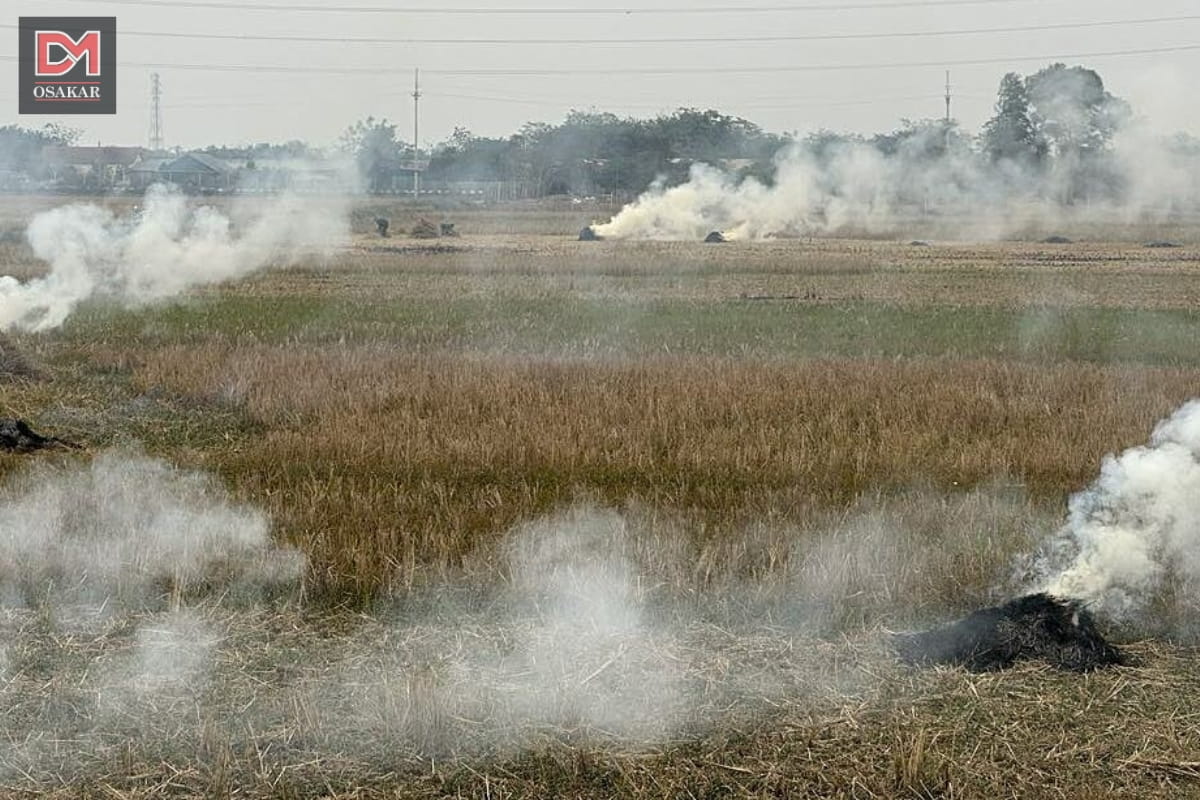 Hình ảnh ô nhiễm không khí tại TP. Hồ Chí Minh 9