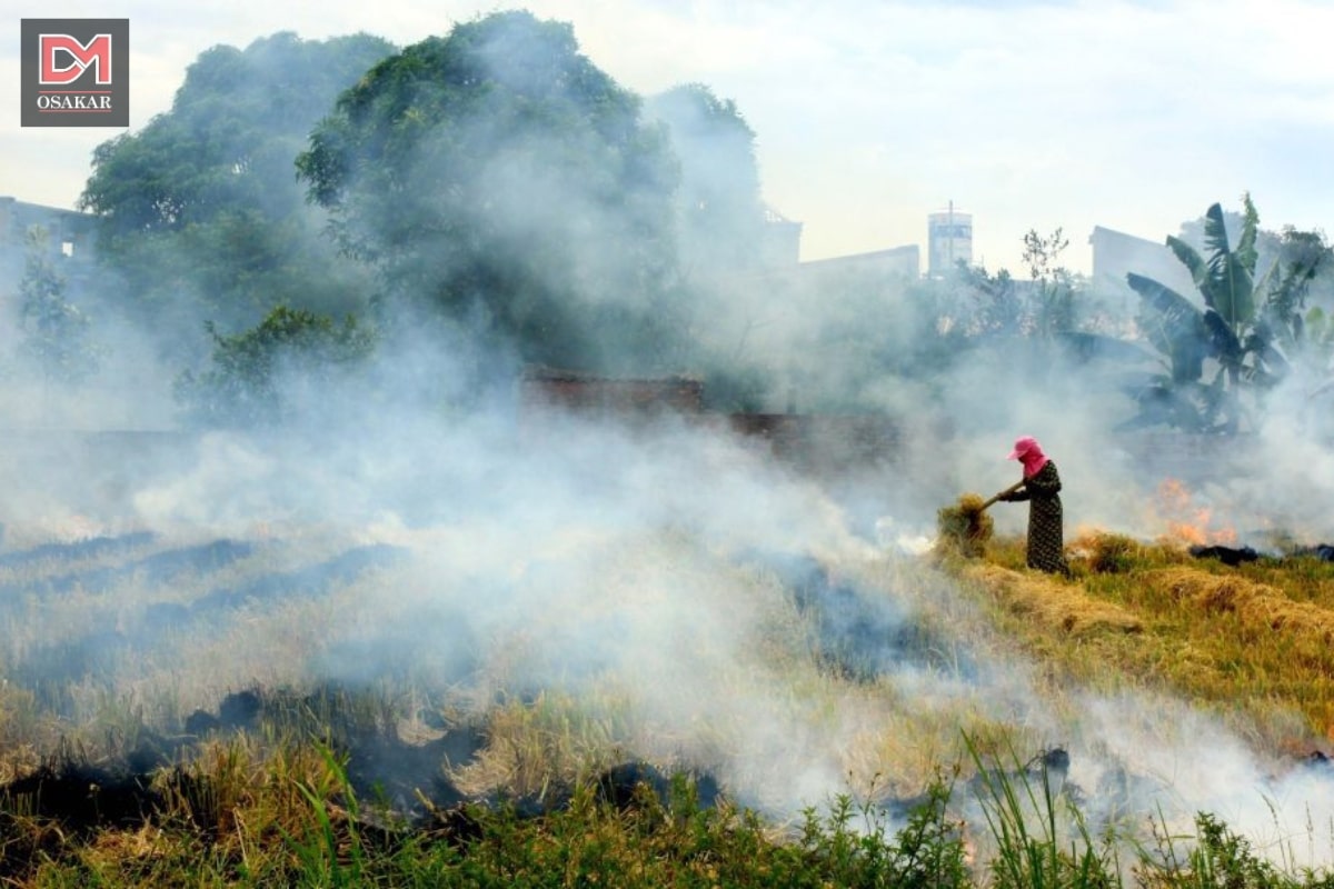 Hình ảnh ô nhiễm không khí tại vùng nông thôn 4