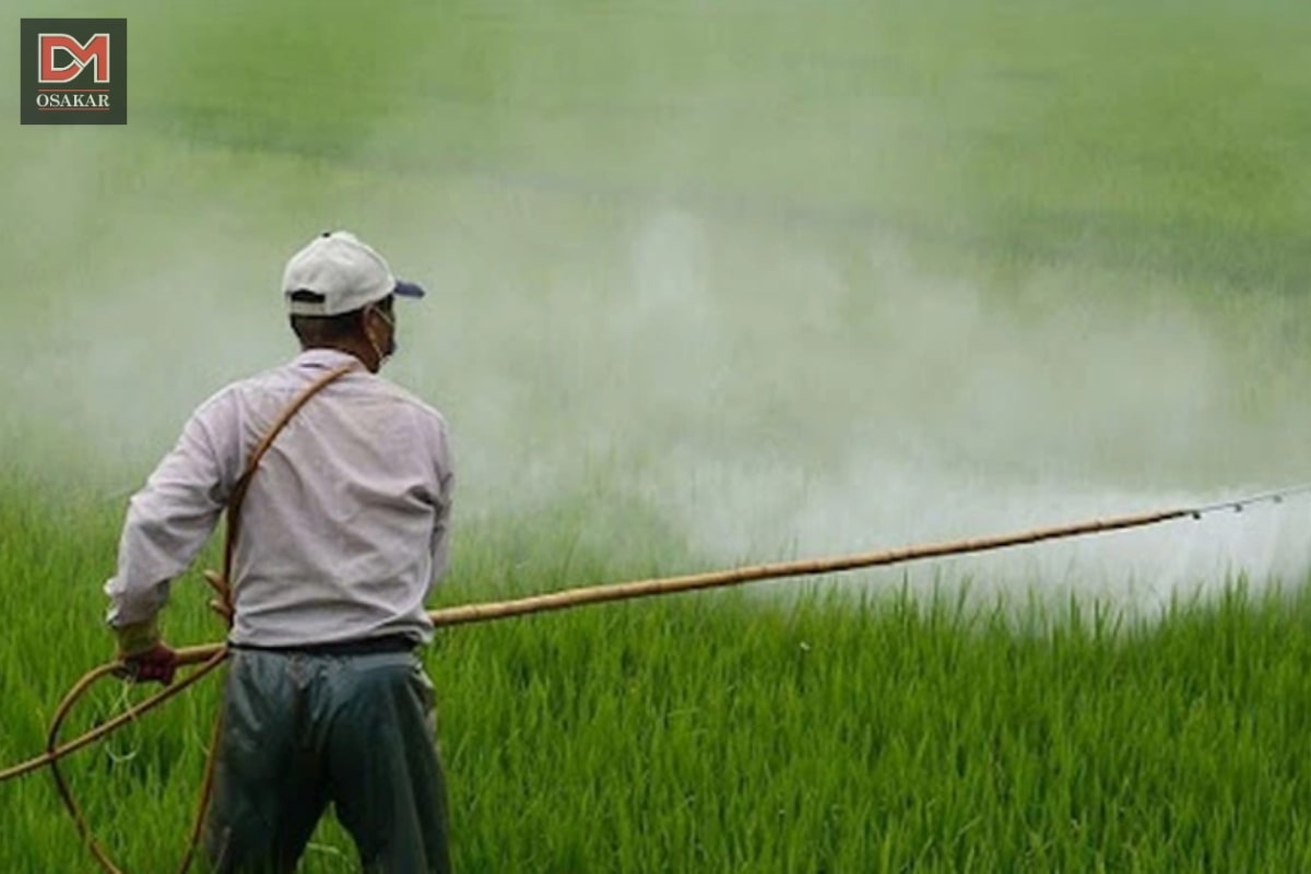 Hình ảnh ô nhiễm không khí tại vùng nông thôn 6