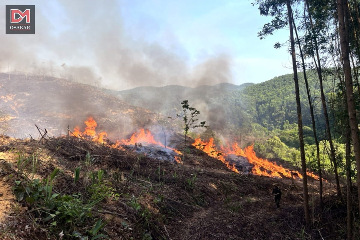 Hình ảnh ô nhiễm không khí tại vùng nông thôn 9