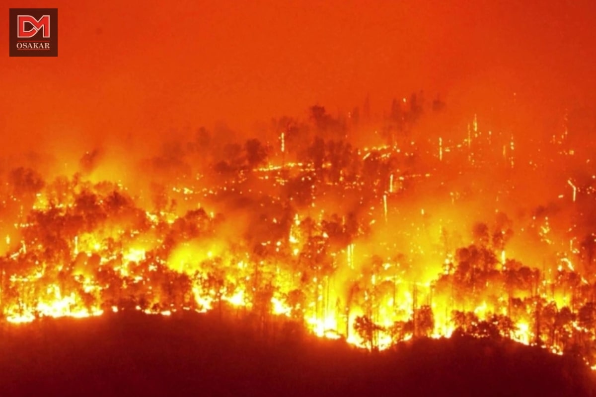 Hình ảnh ô nhiễm không khí trên thế giới 5