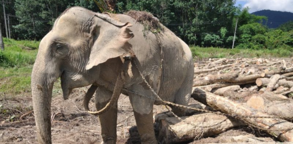 Kể tên các địa danh trên tờ tiền Việt Nam