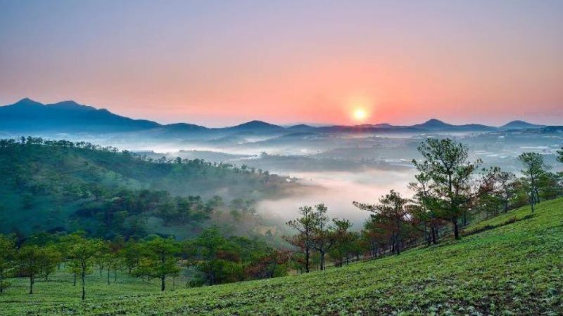 Toàn cảnh Đà Lạt 4K - sương sớm trên đồi thông, phù hợp làm hình nền desktop tỉ lệ 16:9