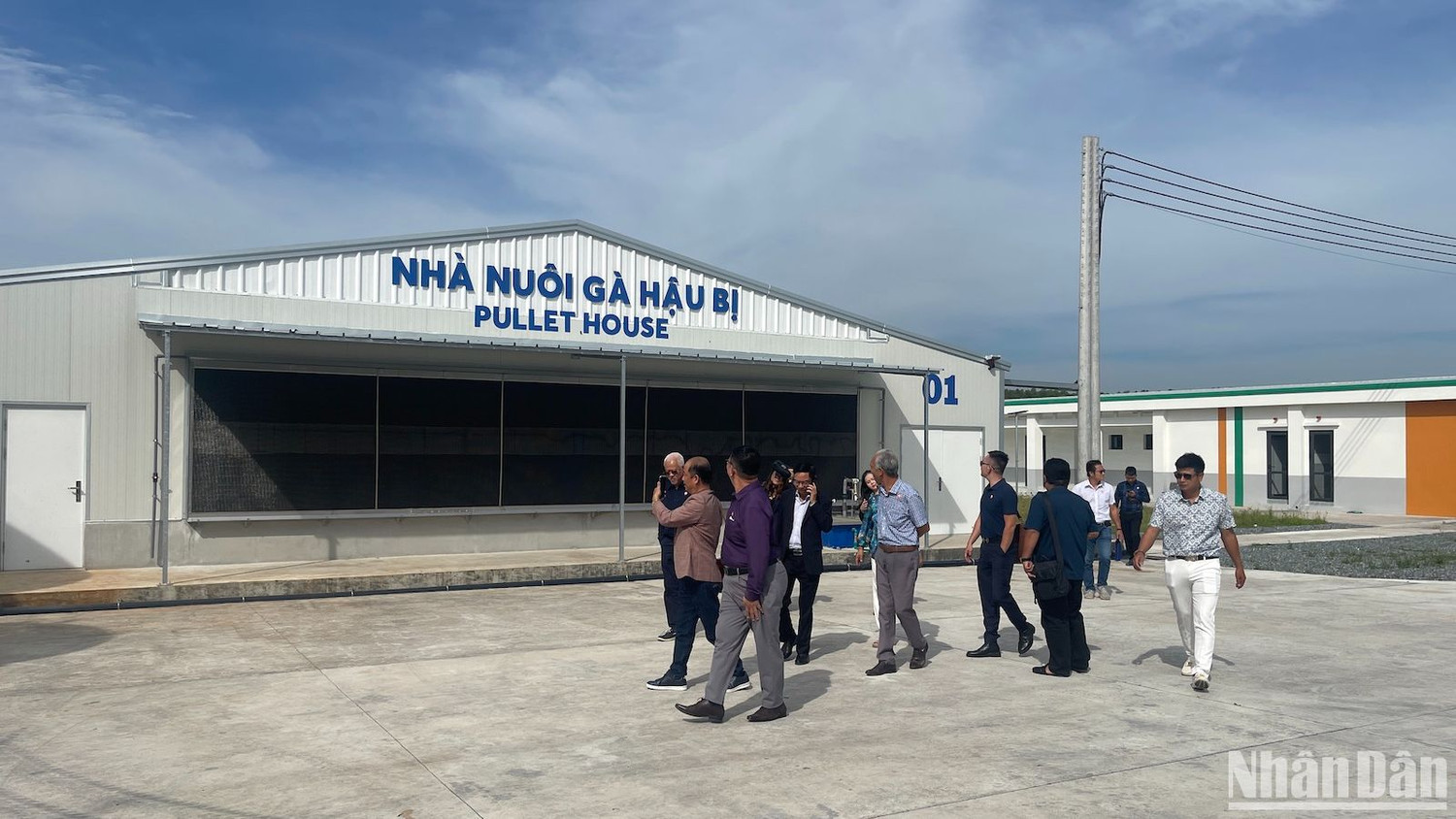 Khu nuôi gà giai đoạn đẻ trứng thương phẩm.