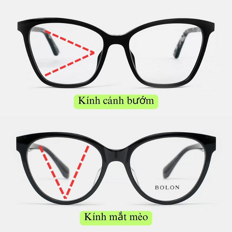 Màu sắc phong phú, phong cách đa dạng