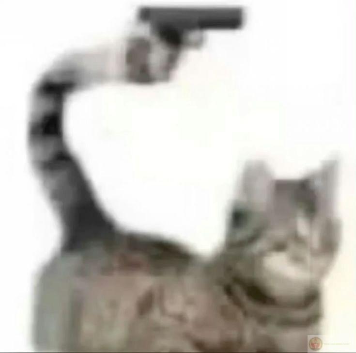 Hình troll súng nước dễ thương được chia sẻ rộng rãi trên nhiều nền tảng