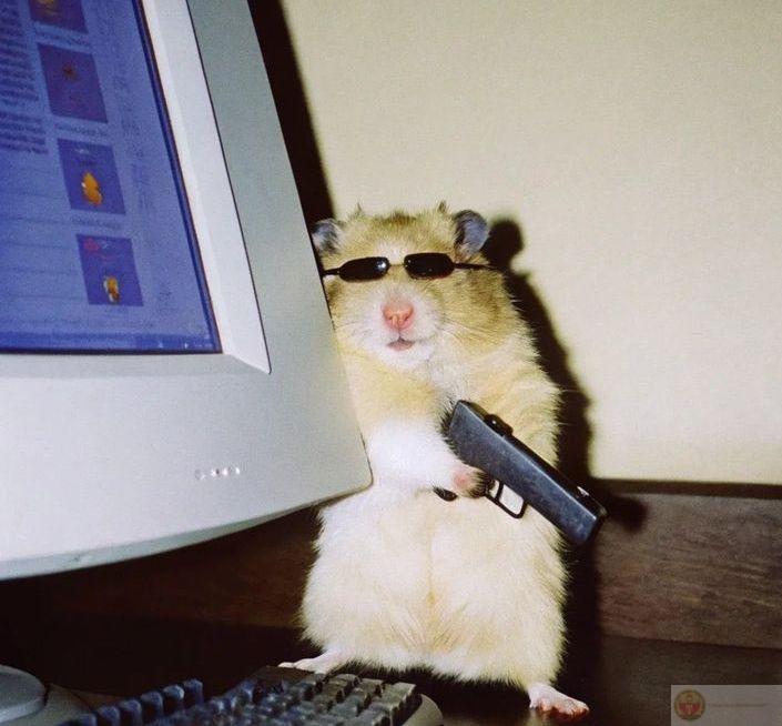 Một chiếc ảnh chế bá đạo cho thấy cư dân mạng sáng tạo không giới hạn