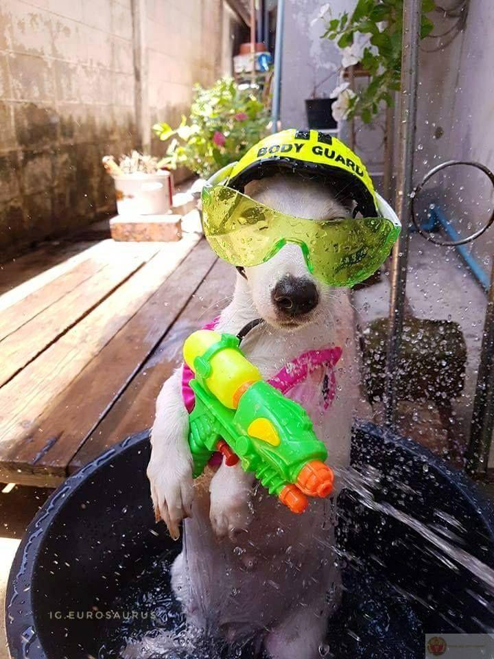 Meme bắn súng hài hước thường được dùng làm phản ứng dí dỏm trong hội thoại