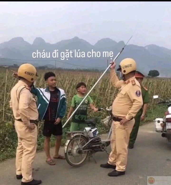 Một chiếc ảnh chế áo xanh đáng yêu nhưng lại khiến cả cộng đồng mạng cười lăn