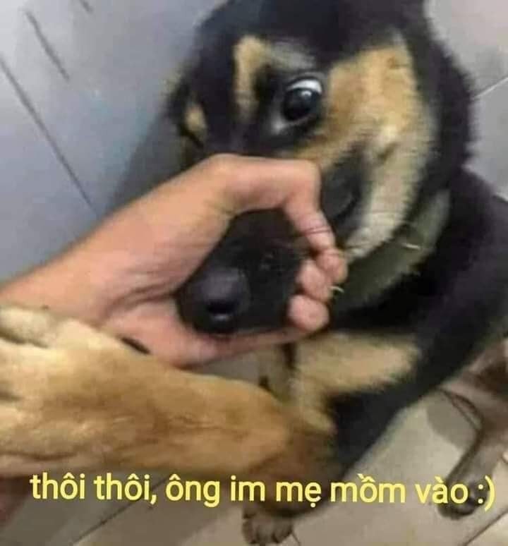 Im lặng đi, tao đang cần oxy sống